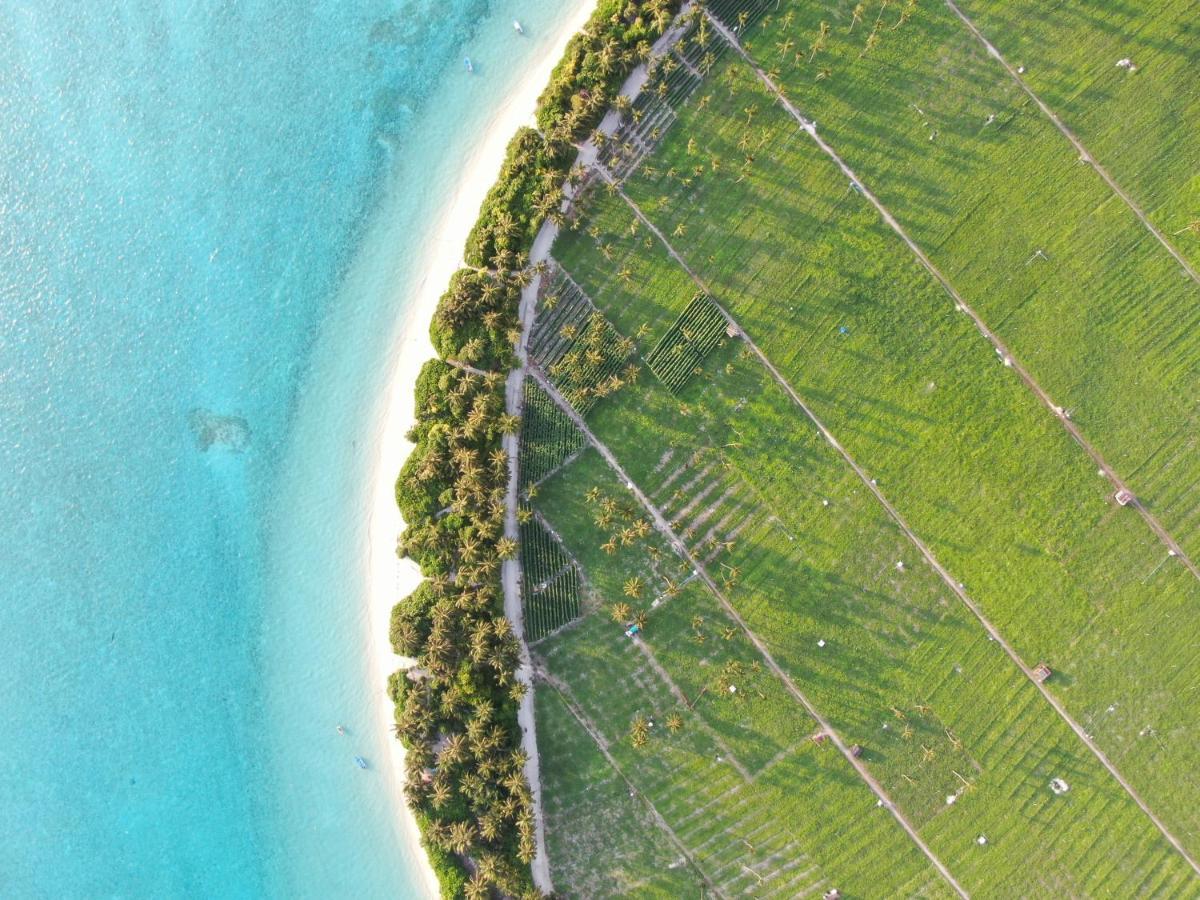 Dhonkamana Stay Thoddoo-Atoll Exterior foto