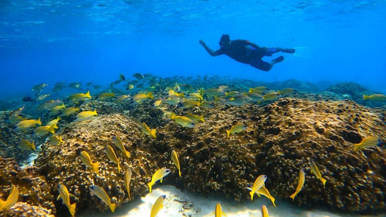 Dhonkamana Stay Thoddoo-Atoll Exterior foto